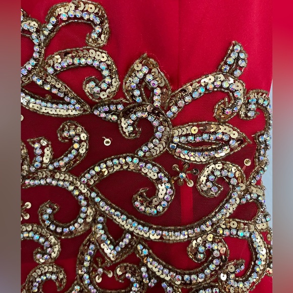 Which gal has the right party to wear this Stunning Tiffany Gown sz 0 - Picture 6 of 9